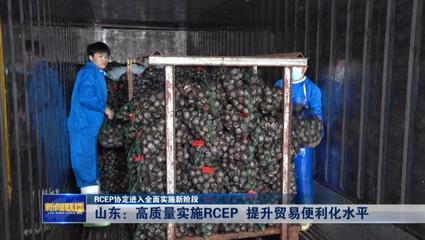 RCEP協定進入全面實施新階段——山東高質量實施RCEP提升貿易便利化水平，推動貨物進出口發展